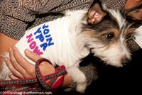 Photo © 2010 Robert Herman